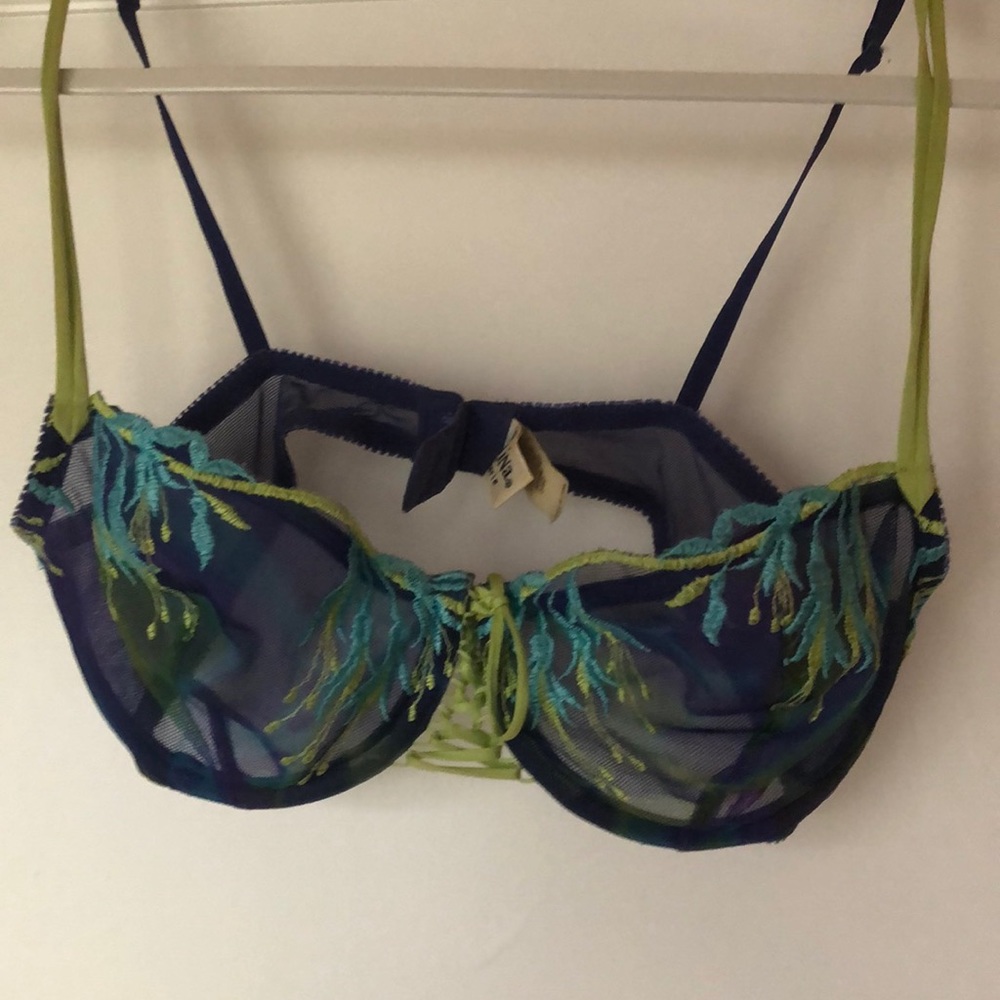 Embroidered Felina Underwire Bra